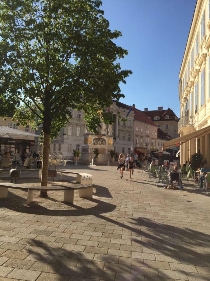 Terrasse Wohnungen Mit Parking In Zentrum Baden Luaran gambar